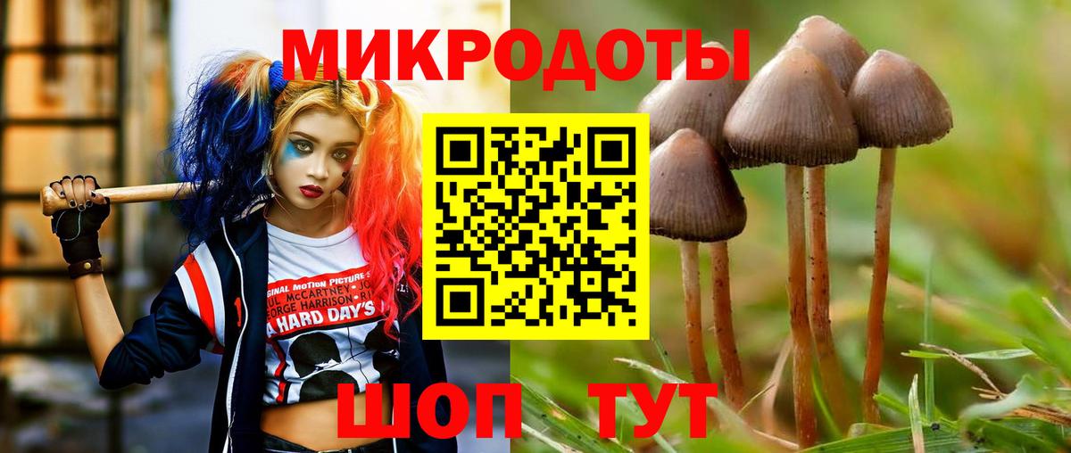 Псилоцибиновые грибы Psilocybine cubensis Мценск